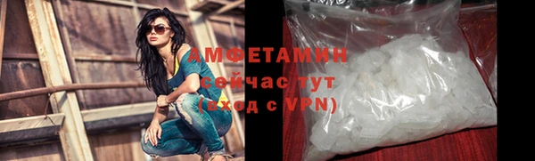 гашик Кулебаки