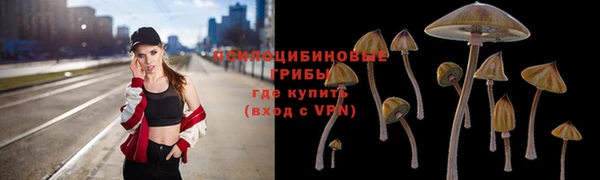 гашик Кулебаки