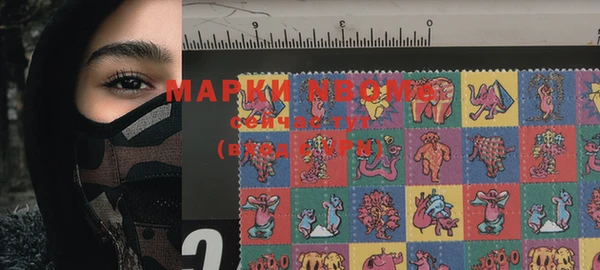 гашик Кулебаки