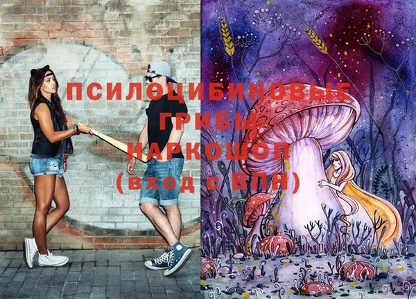 героин Кукмор