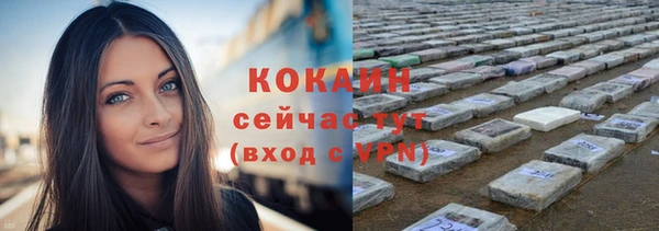 гашик Кулебаки
