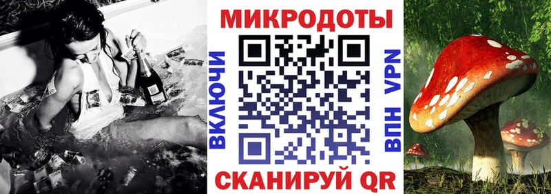 Купить где  Астрахань  Псилоцибиновые грибы MAGIC MUSHROOMS 