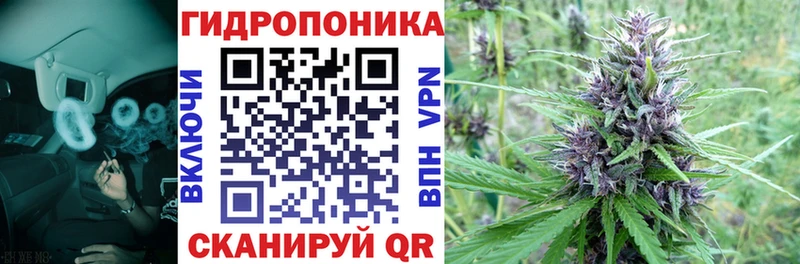 Канабис тримм Купить закладки Астрахань
